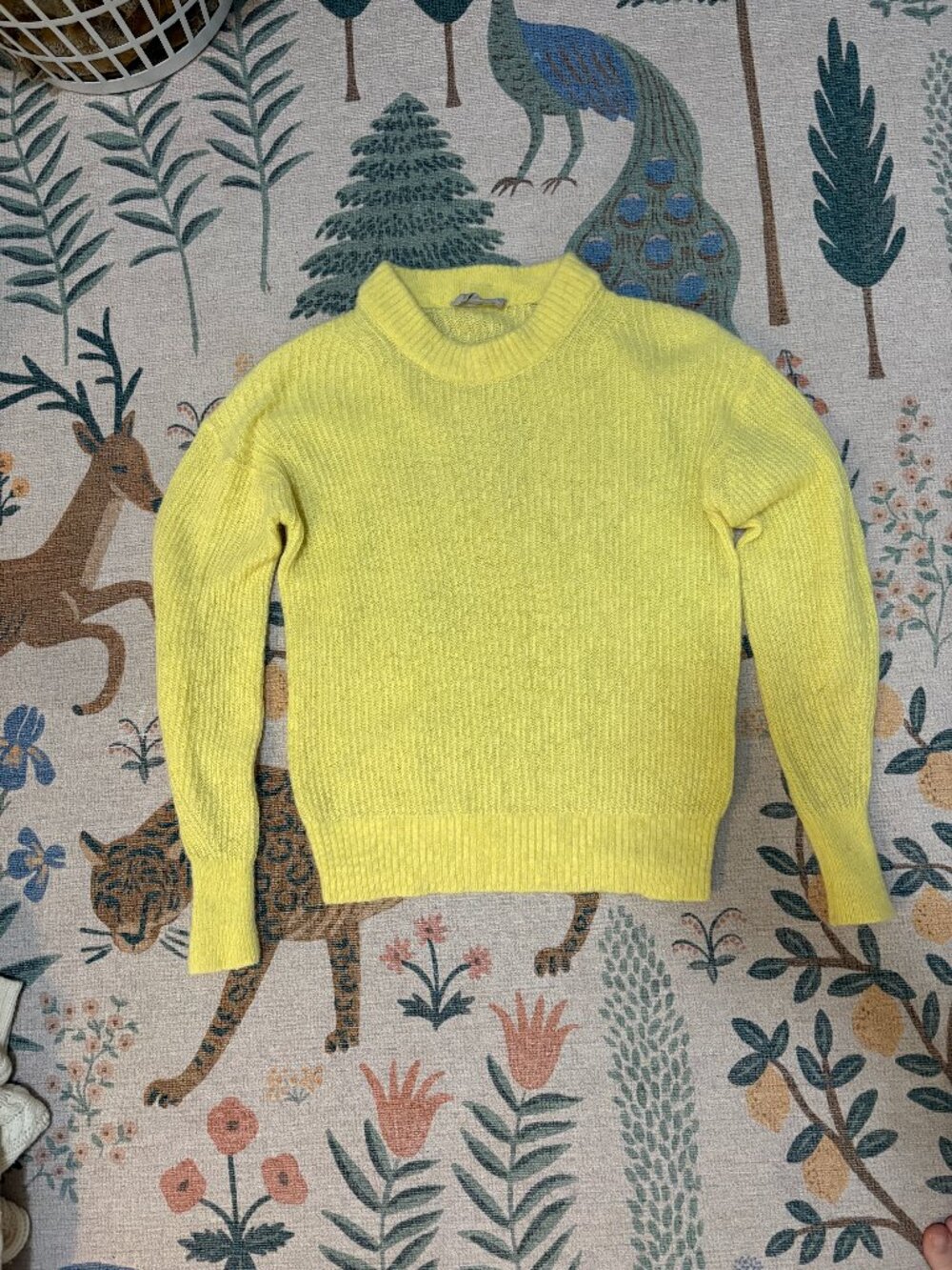 Everlane lpaca-blend sweater